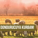 DERİN DONDURUCUYA KURBAN!